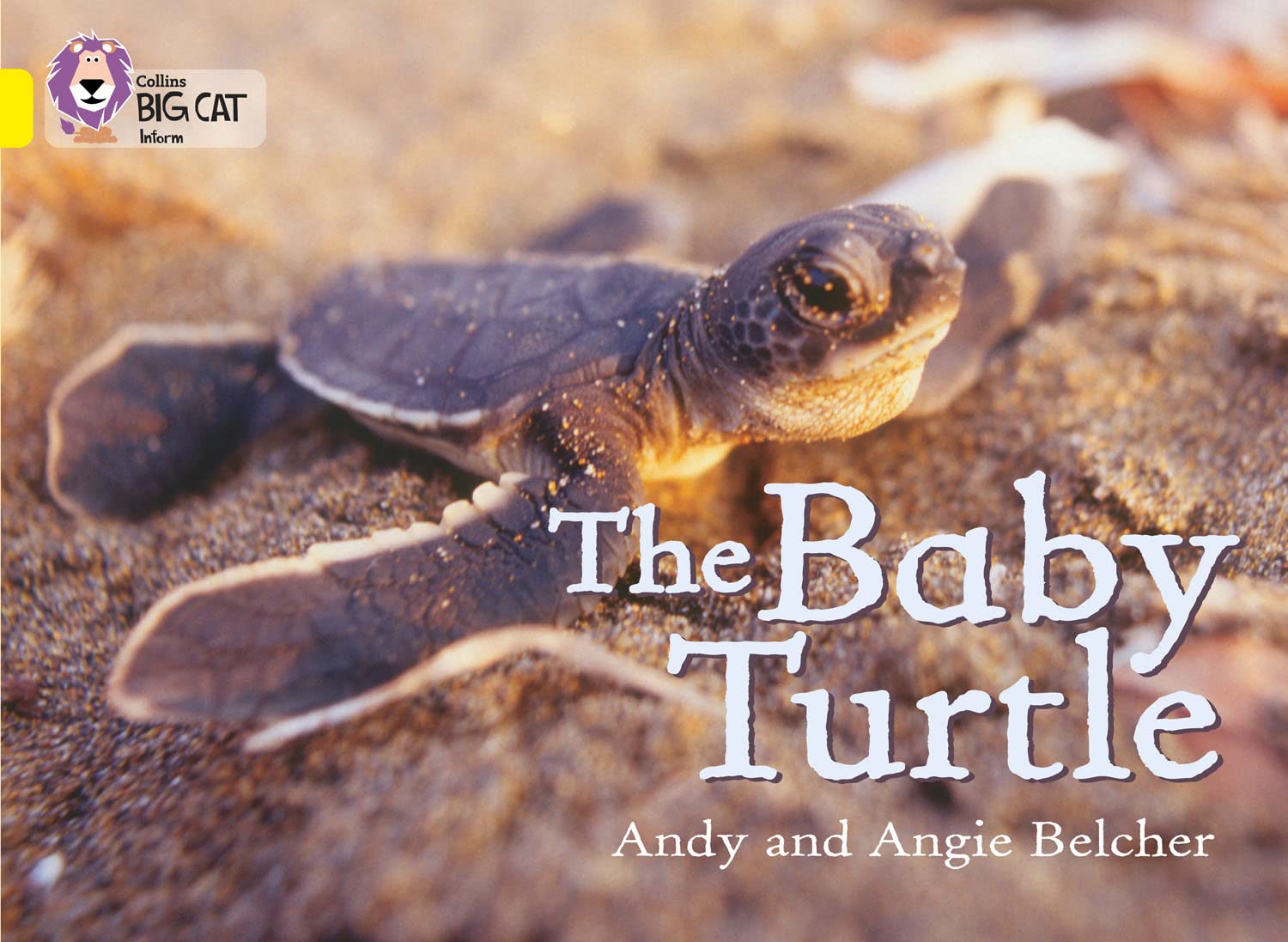 The Baby Turtle : Band 03/Yellow