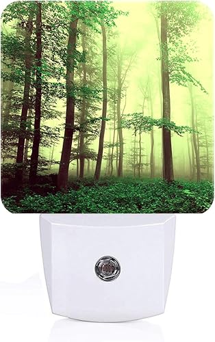 Miniatura 20 de Northern Lights - Luz nocturna enchufable, lámpara nocturna con sensor automático, lámpara de noche del atardecer al amanecer, decoración del hogar