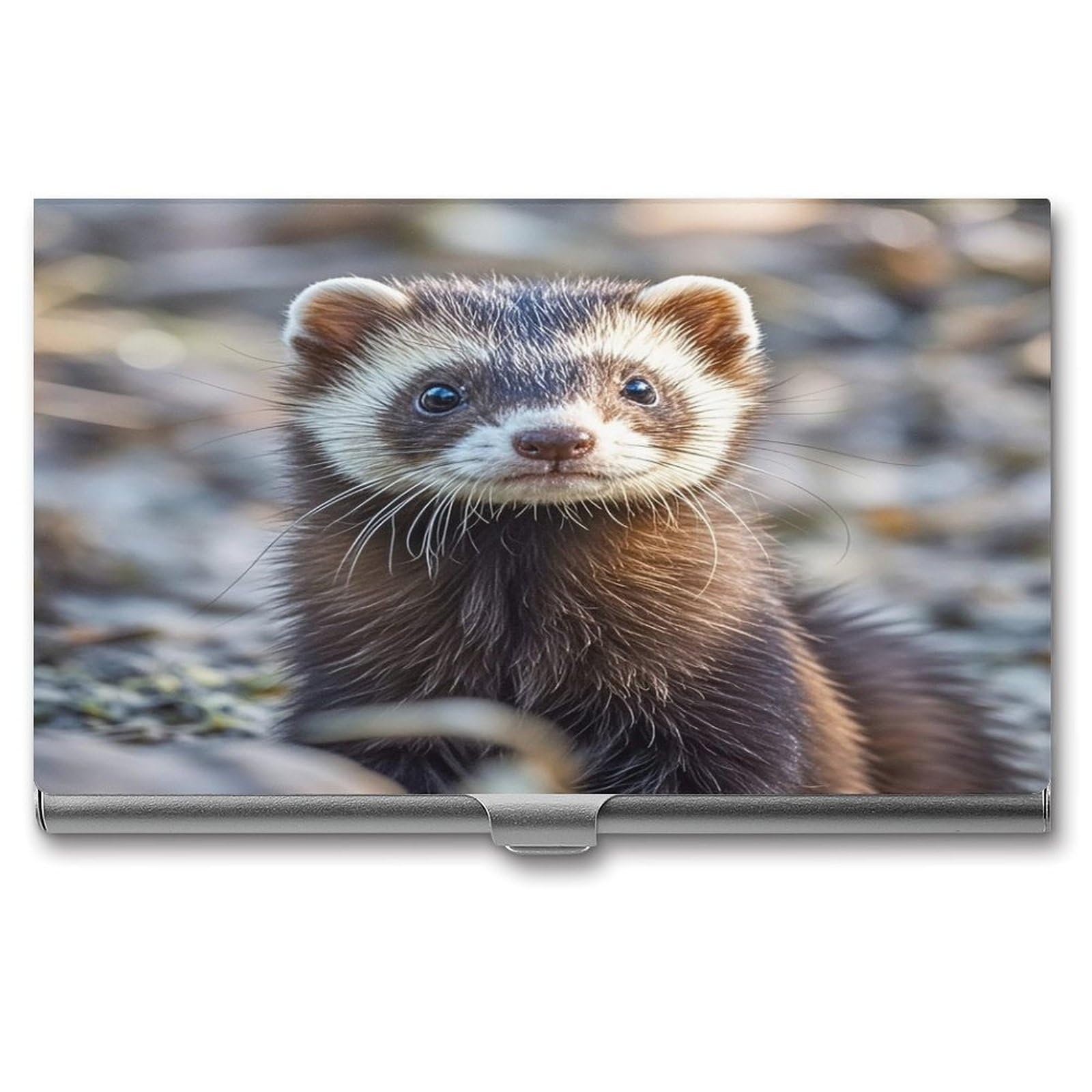 FekiLoot Hairy Ferret Business Card Holder for Men Women Metal Slim Organizer Business Card Carrier Wallet Name Cards Holder Retro Slim Pocket Purse Small Portable Card Case