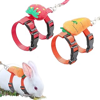 ZARSIO 2 Pack Rabbit Harness and Leash Adjustable Bunny Harness Leash Set Small Pet Cute Vest Harness Leash for Safety Walking Running for Bunny Cat Puppy Kitten Ferret (Red+Orange)