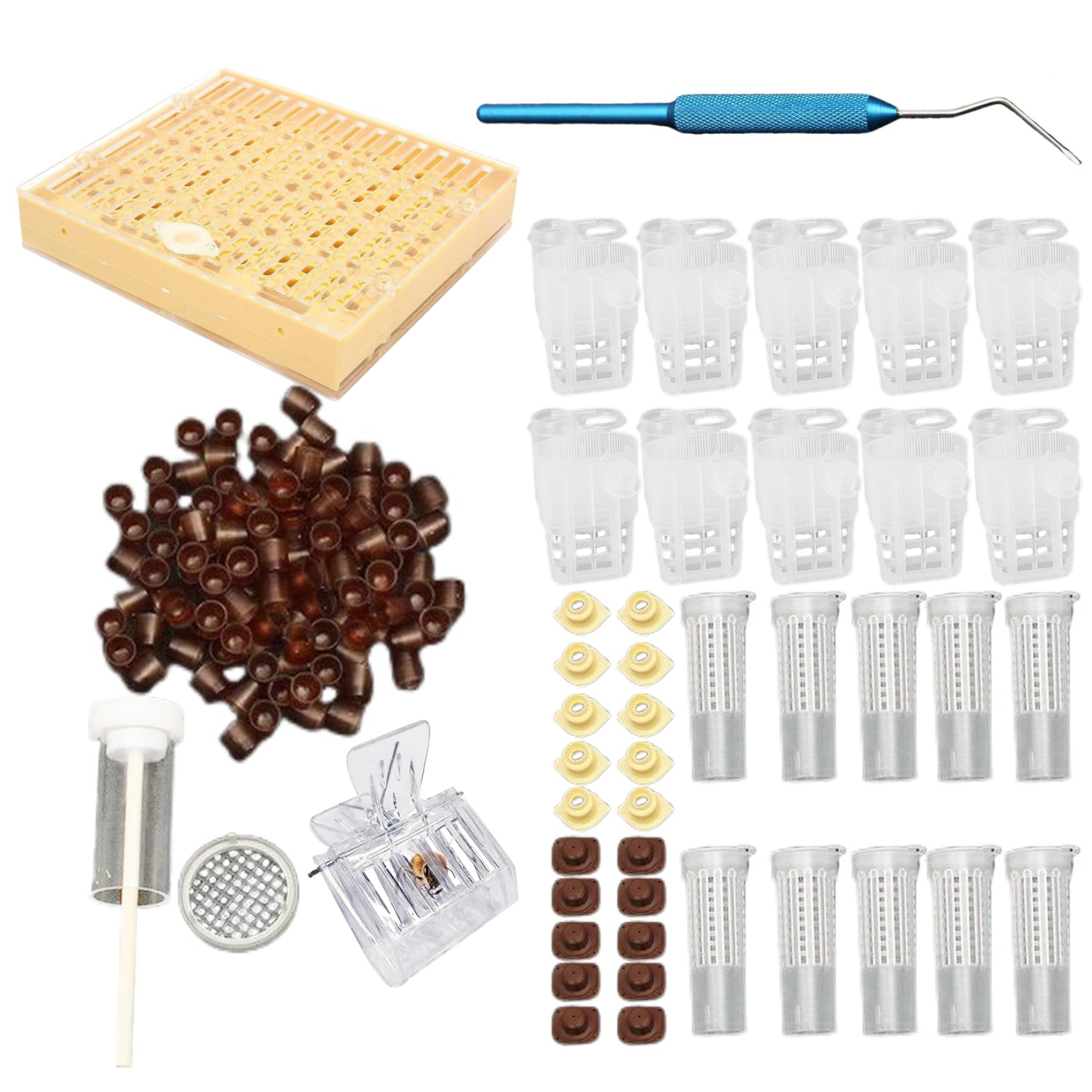 Bienenzucht-Starter-Set, Königin-Aufzucht-Set, komplettes Bienenzucht-Starter-, einschließlich Königin-Aufzuchtbox, Zellbechern und beweglichem Veredelungswerkzeug-Ausschluss