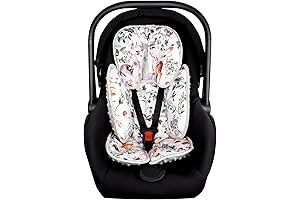 2-in-1 Baby Car Seat Insert with Extra Soft Head Support