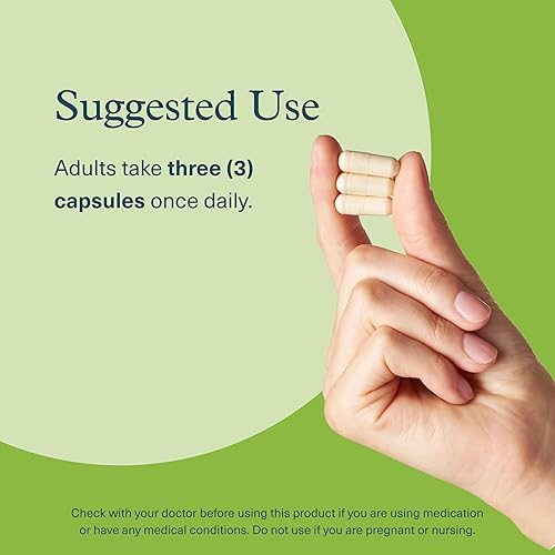 Miniatura 7 de Youtheory Complejo de estrés de hongos, hongos orgánicos de espectro completo con L-teanina, ayuda a reducir el estrés y promueve la calma mental,