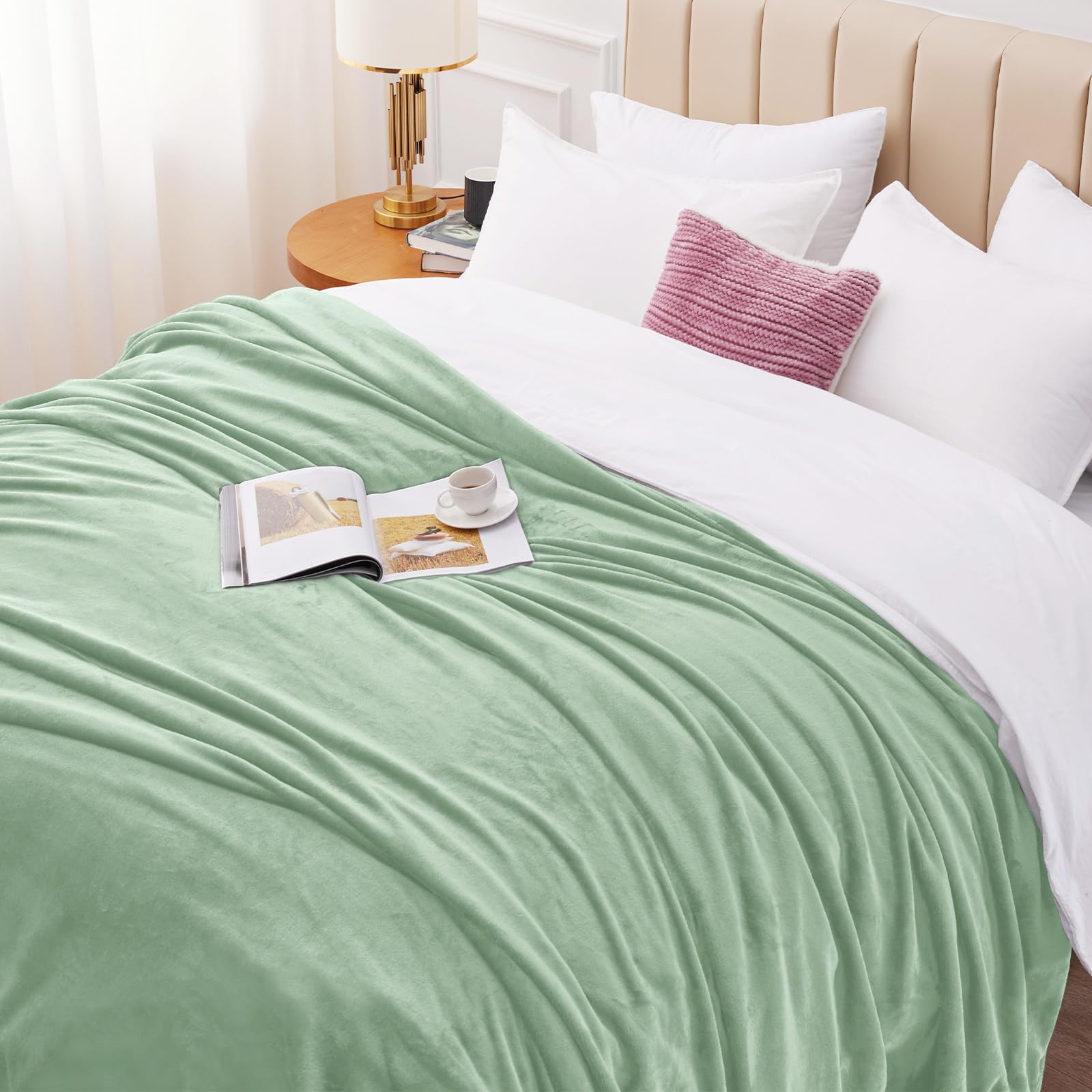 WAVVE Plaid Couverture Polaire Flanelle en Microfibre, Jeté de Canapé 230x270 Vert Clair, Couverture lit Jete de Canape 2 Personnes, Plaid Fourrure Grand Chaud et Doux en Peluche, 270x230