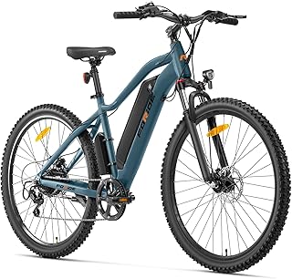 Bicicletta elettrica Xtremer 3,Mountain bike elettrica per uomo e donna, batteria da 48 V, 12 Ah, pneumatici da 29" x 2,4", autonomia 120 km, freni a disco idraulici