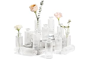ComSaf Glass Bud Vases for Bulk