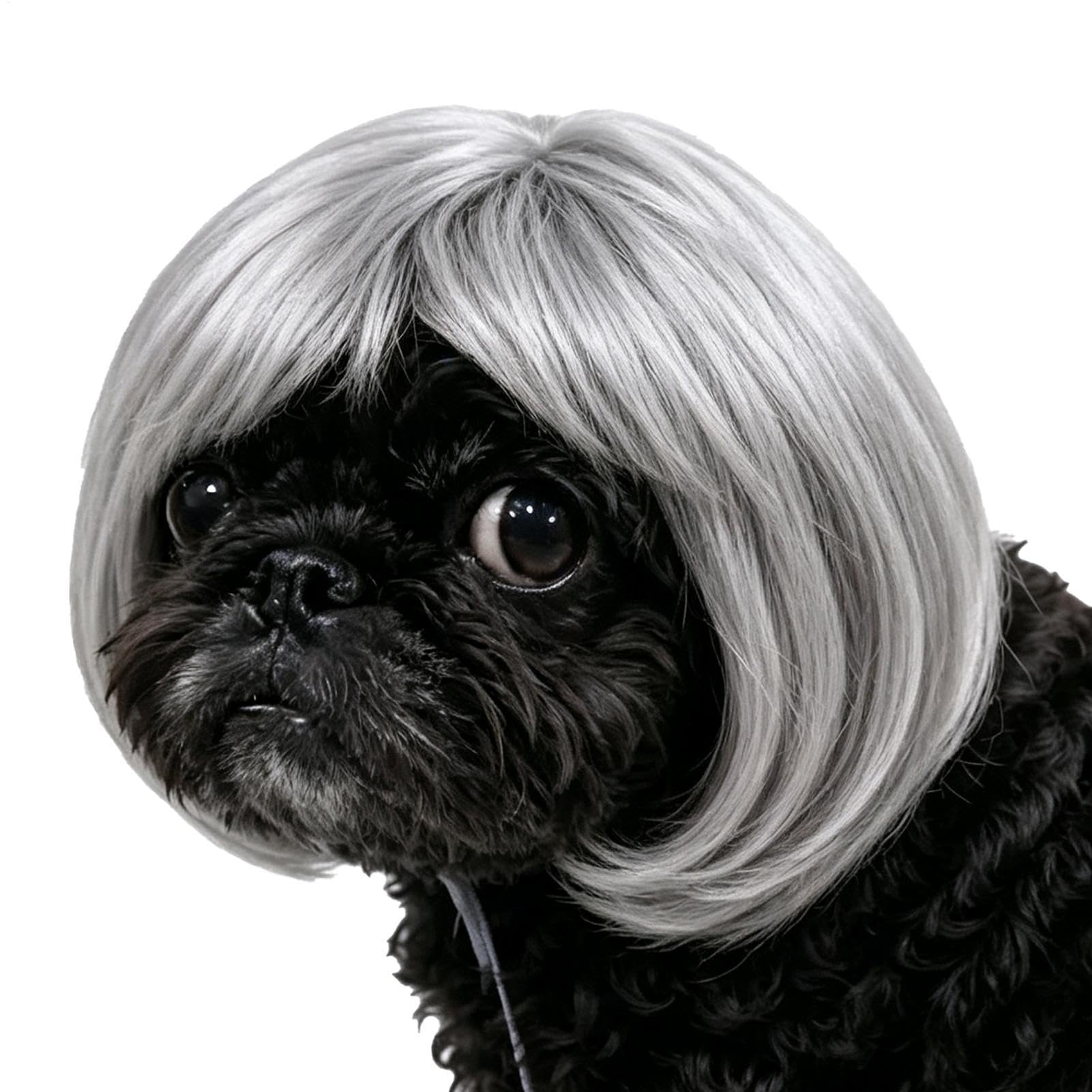 Cat Wigs Adjustable Human-Style Funny Bangs