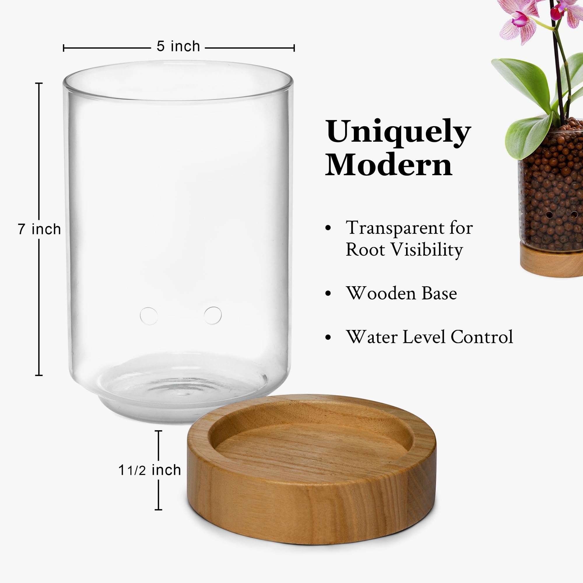 Pot & Pebble - Maceta de vidrio C1 con base de madera - Maceta de vidrio para interiores con agujeros de control de nivel de agua - Cultiva plantas en guijarros de arcilla LECA/medios similares