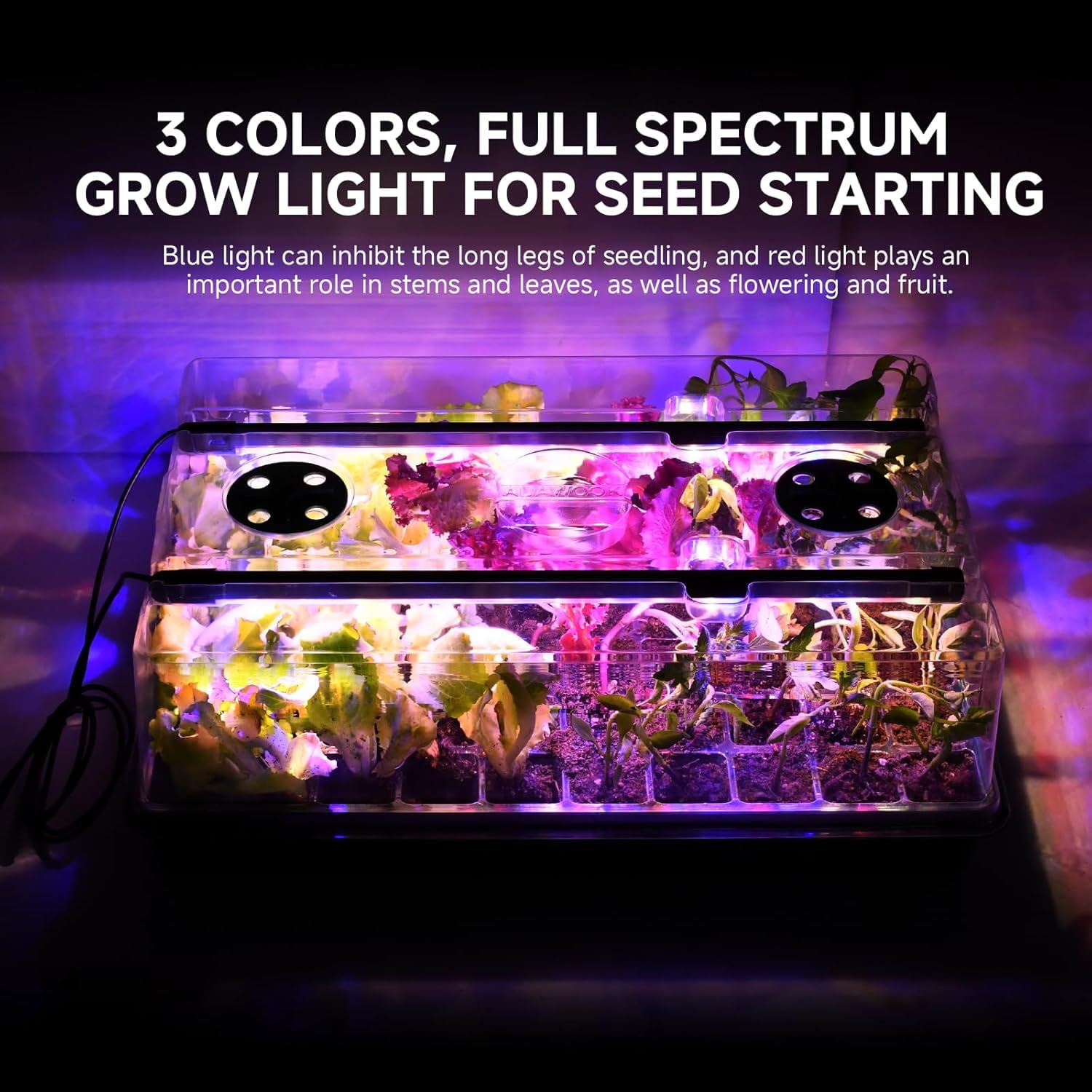 Vassoio per semi, con luce di crescita e termostato controller, tappetino termico, 25,4 x 52,7 cm, tappetini termici per la coltivazione di piante, regolabile da 20 a 45 °C, luci che cambiano colore