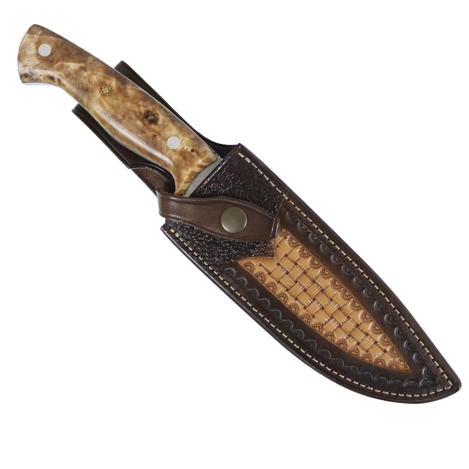 iFIELD EL29008 Coltello multifunzionale per escursioni, caccia e sopravvivenza all'aperto, manico in radice di pioppo in finitura lucida con distanziatore nero, fodero multiposizione