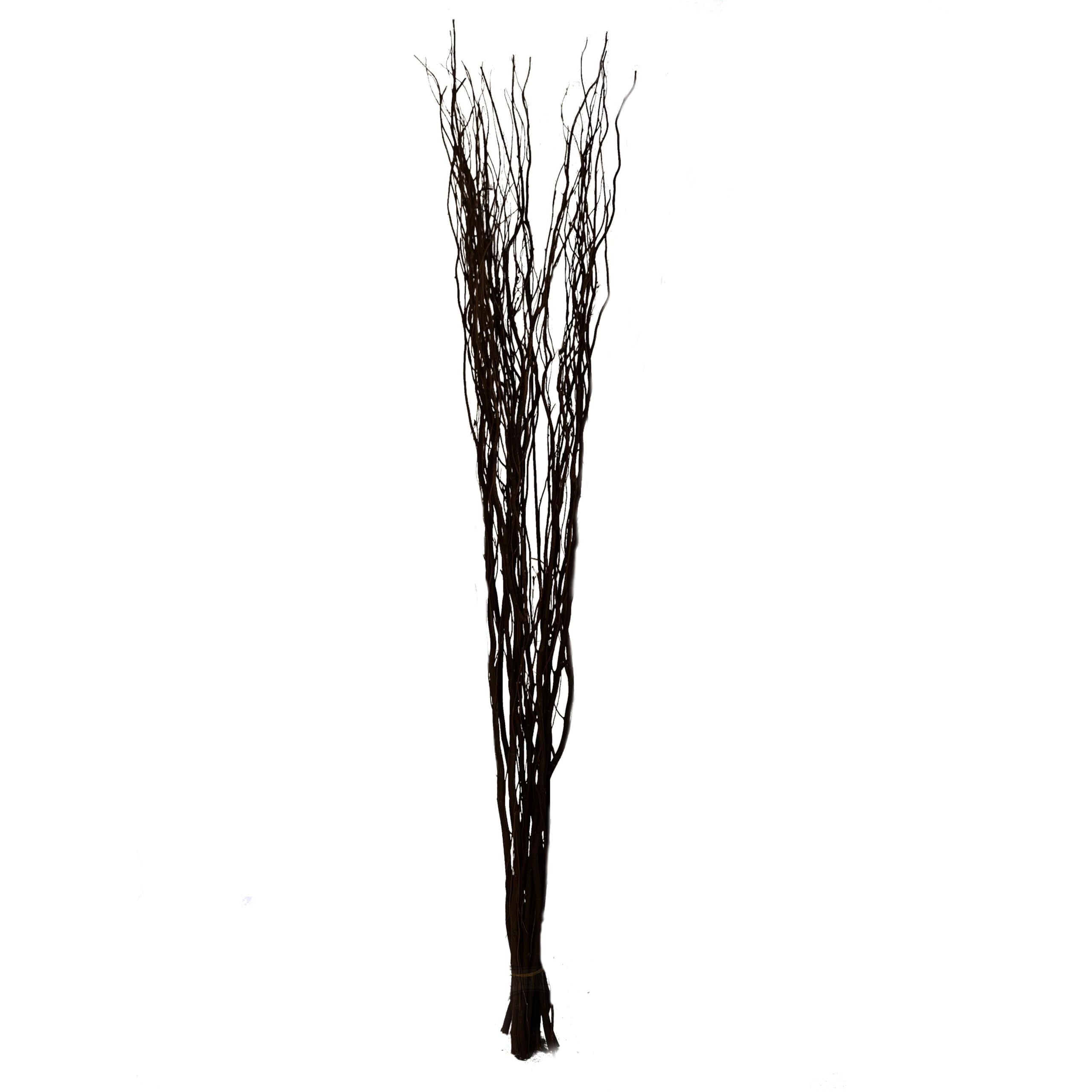 Homestreet Contorted Twisted Willow Twigs Bunch For Floor Standing Vases And Displays 120cm tall in Brown, Black, Silver, Gold or Natural (Black)