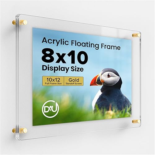 Marco de fotos flotante de acrílico transparente (8 x 10 pulgadas) con soportes dorados, pantalla de plexiglás de doble panel sin marco para fotos,