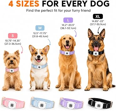 AirTag Dog Collar with QR Code ID, Dog Collar with Air Tag Holder,Purple, M