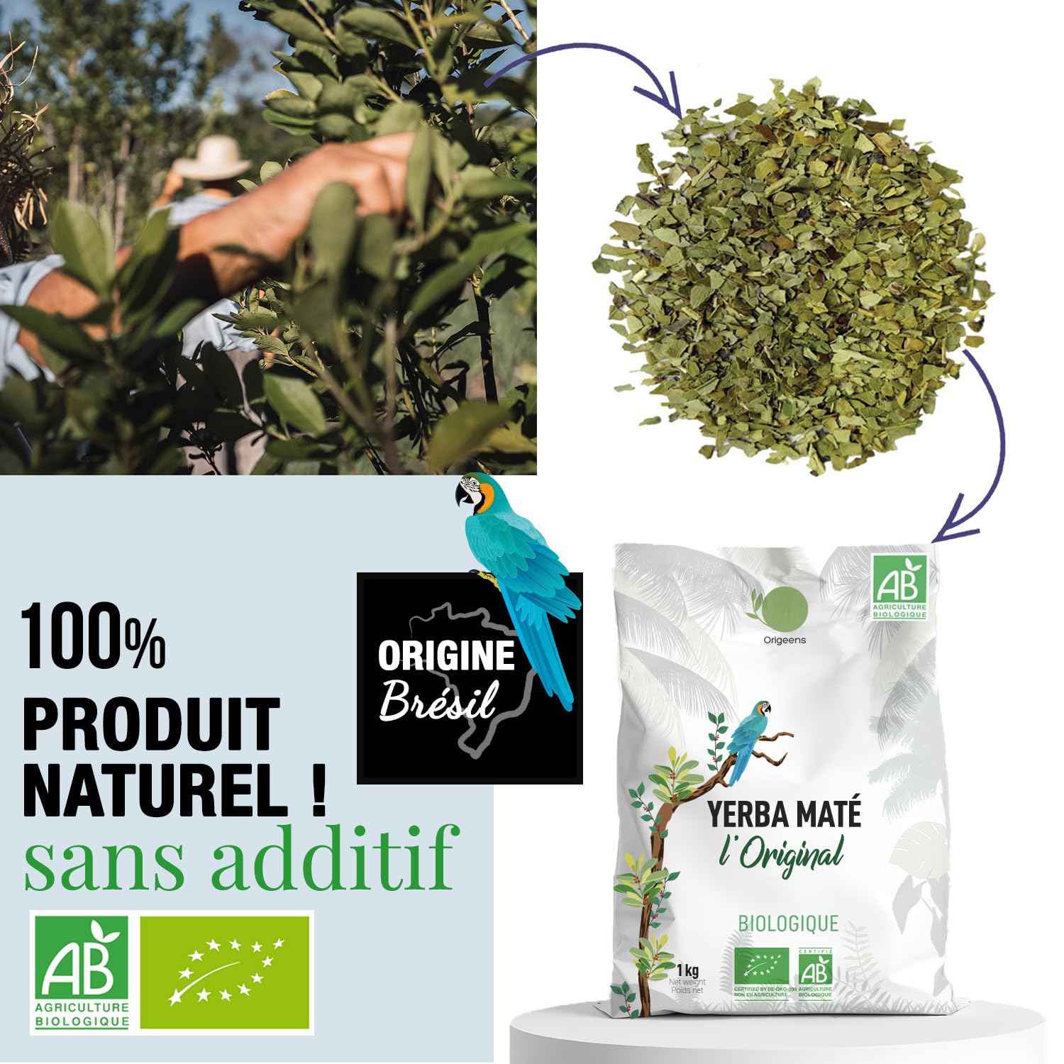 ORIGEENS YERBA MATE BIO 1KG L'Original - Yerba Maté Vert Non Fumé, Récolté à la main - Feuilles, Sans Tige, 0 Poussière - Boisson Energie et Detox