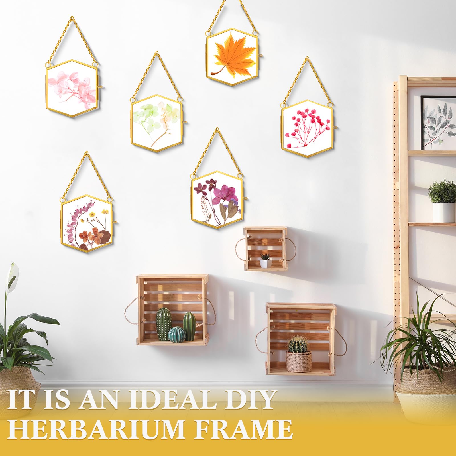 Leinuosen 8 Pack Hanging Gold Glass Floating Frame 3.7'' x 3.3'' Pressed Flowers Frames Vintage Brass Hexagon Floating Picture Frame Double Picture Artwork Display Frame for Photo Picture DIY Home