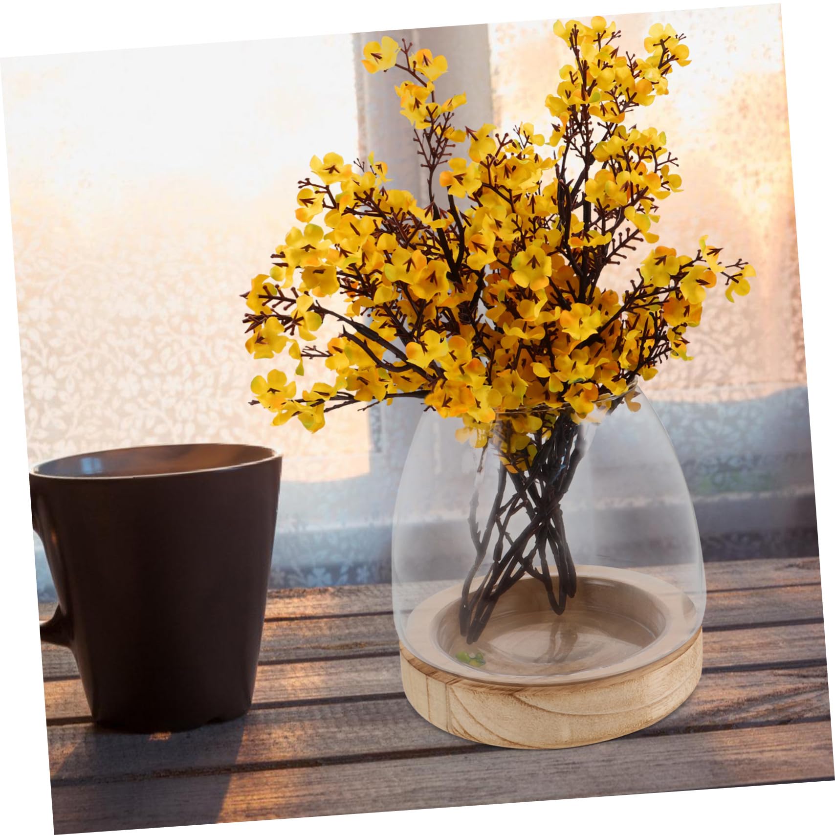 Amosfun Vase hydroponique Petit Vase de Terrarium récipients en Verre hydroponiques décor de de Plantes Station d'enracinement en Transparent