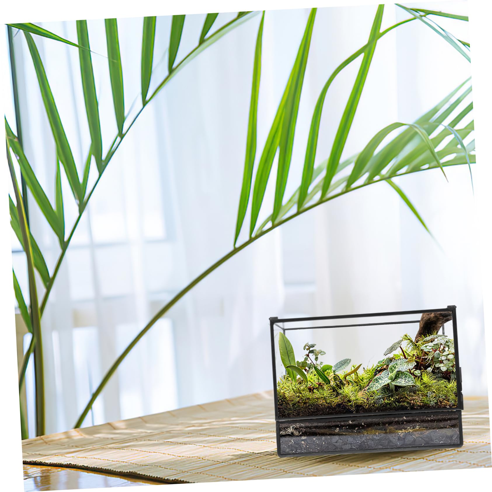Handgefertigtes Geometrisches Glas Terrarium mit Glatter Oberfläche für Pflanzen und Moos Kleines Terrarium für Wohnzimmer und Tischdekoration