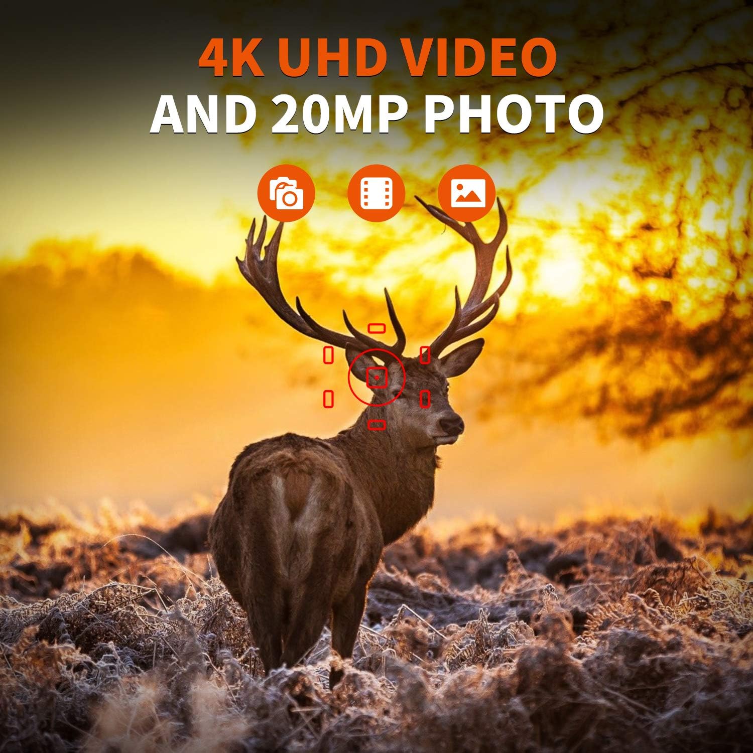 REXING Woodlens H6 capturing 4K UHD video and 20MP photo of a deer