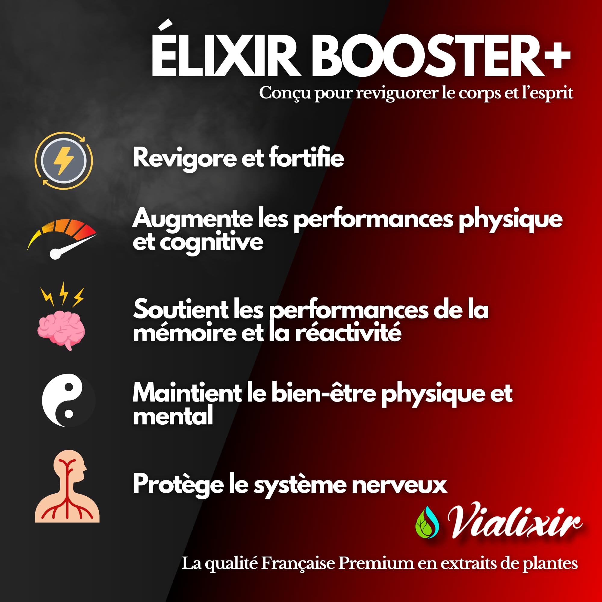 Extrait de Ginseng Rouge de Corée | Extra Fort 6000mg/jour 60 Gélules | Énergie, Vigueur, Circulation Sanguine Concentration | Panax Meyer 10:1 + Eleuthérocoque + Rhodiola | Qualité Française Vialixir
