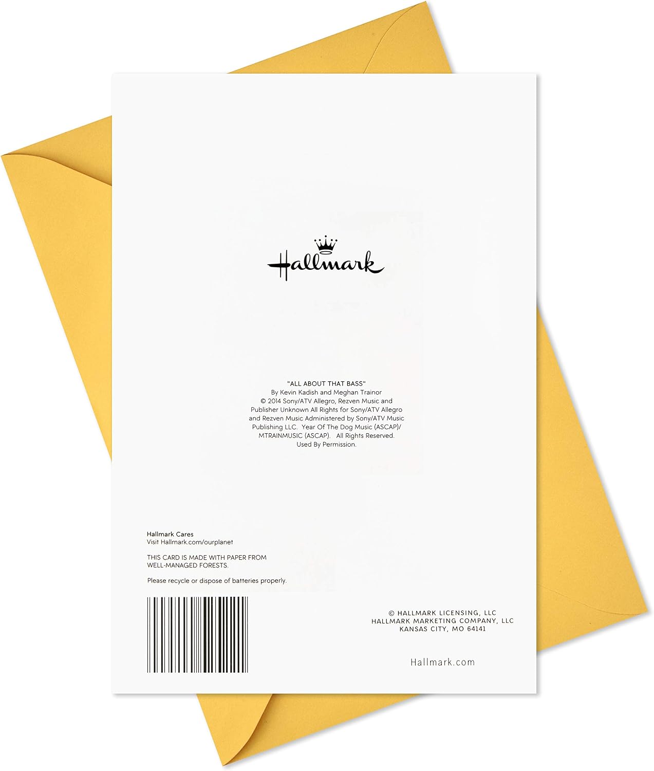 Hallmark Easter Card with Sound and Motion (Bunny Tail)