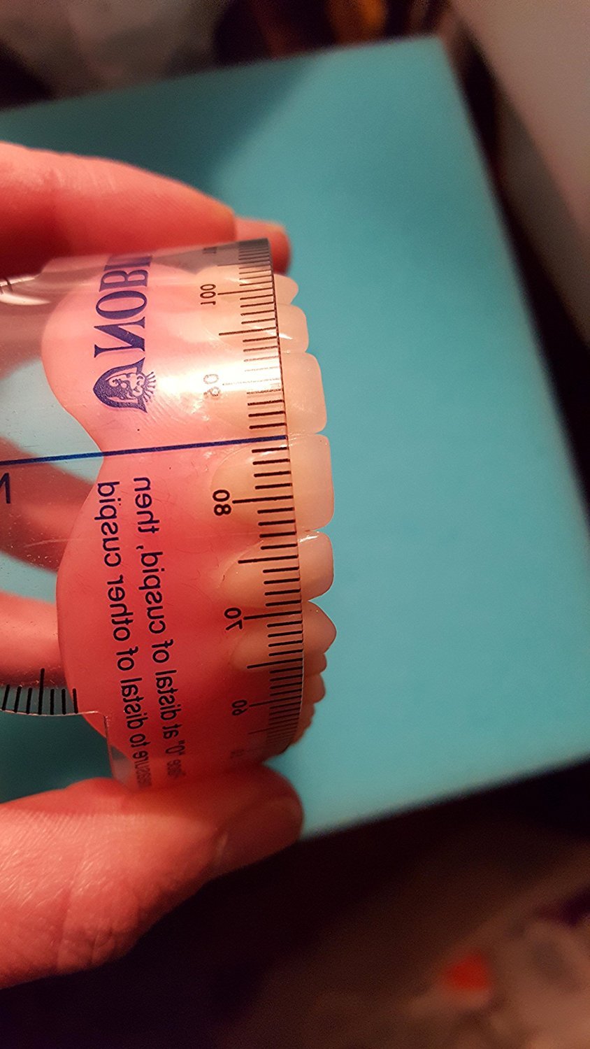 Dentsply Denture Trubyte Millimeter Dental Lab 3 Pack Flexible Ruler in