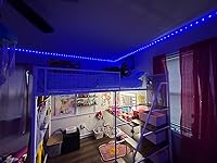 Review Image by Haleigh Stone Haleigh Stone