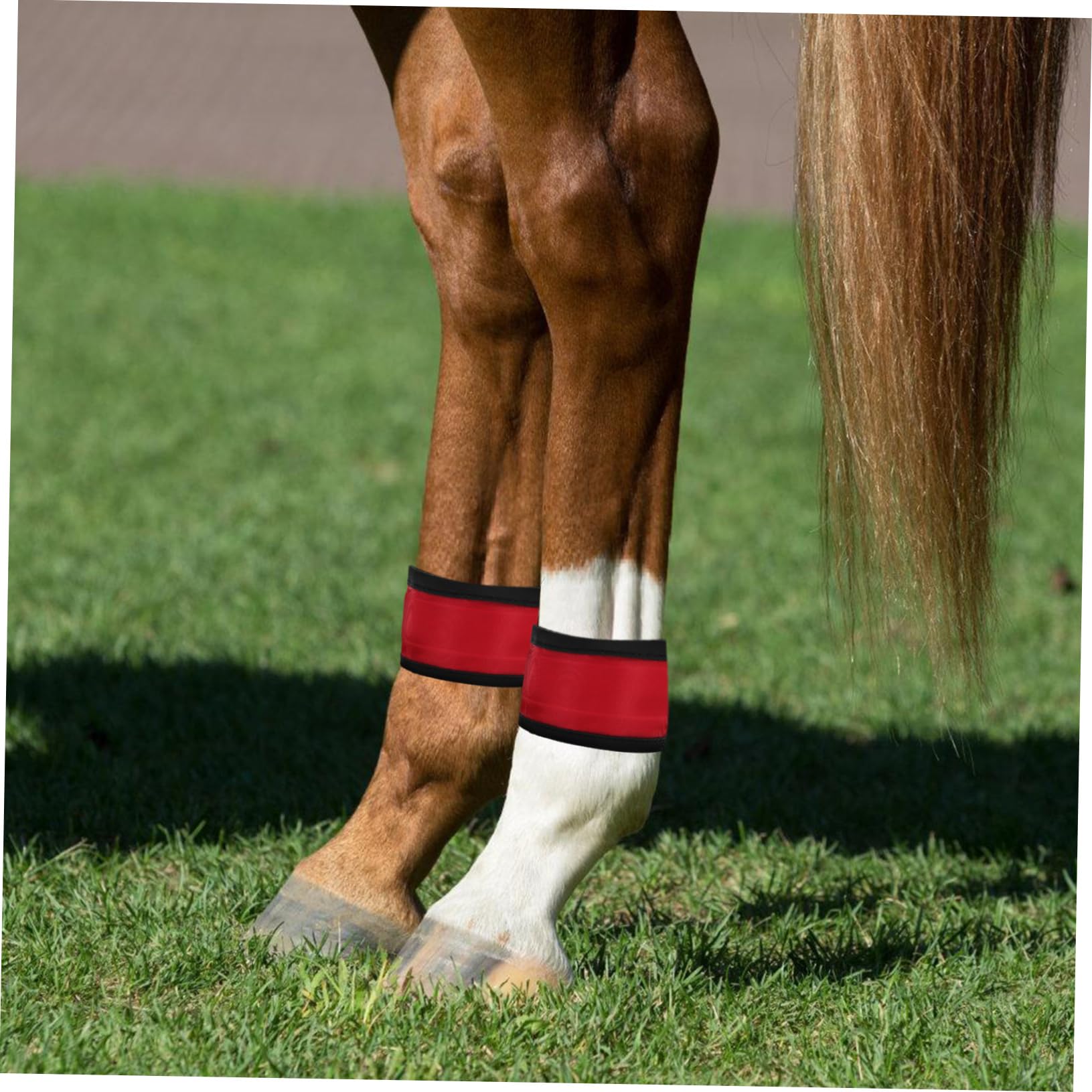 4pcs Bracelets LED Réfléchissants pour Cheval en Tissu Résistant et Portable, Accessoires Équitation pour Entraînement et Activités Extérieures Nocturnes