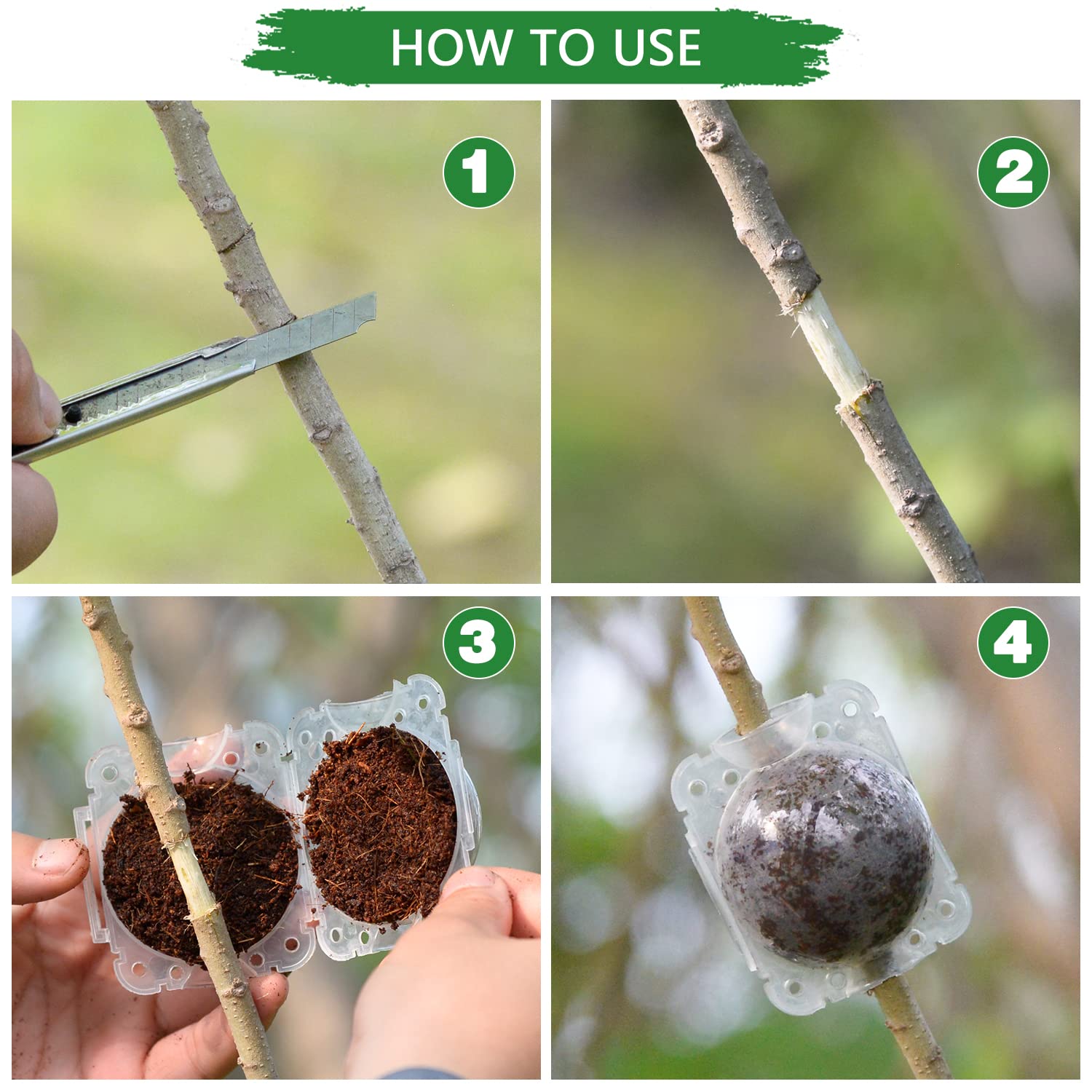 Supking 8 Pcs Air Layering Pods Plant Rooting Grow Propagation Ball Small Transparent Assisted Cutting Rooting Grafting Device Root Box for Plants image 4