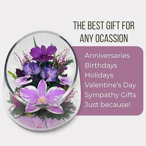 Miniatura 5 de Fiora Flower  Orquídeas de larga duración  Dura hasta 5 años  Sin necesidad de agua  Sin alergias  Resistente al olor  Regalo único