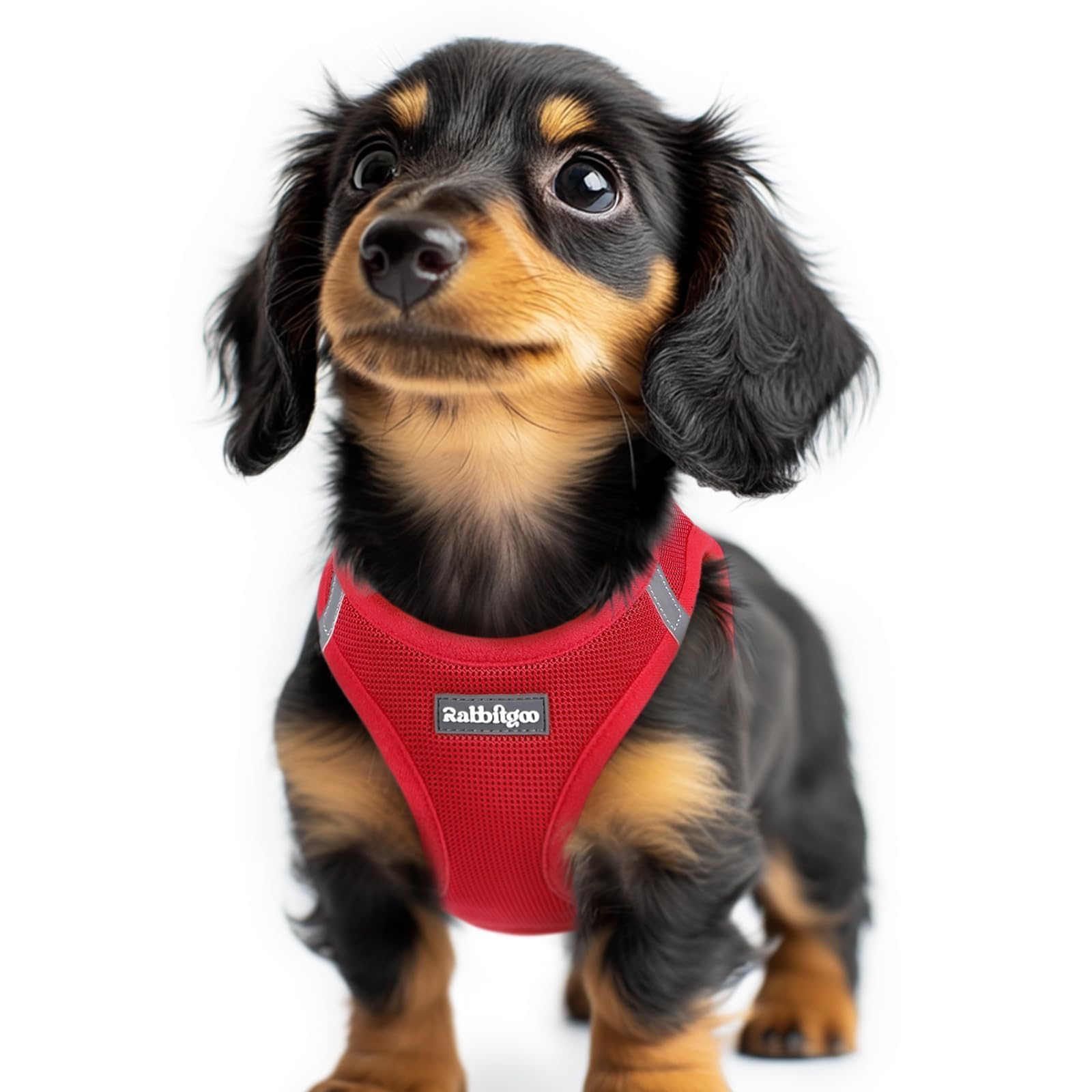 rabbitgoo Dog Harness Small Dog, Step-in Soft Mesh Puppy Harness with Reflective Strips, Lightweight Breathable Pet Vest for Walking Training, Red, XXS