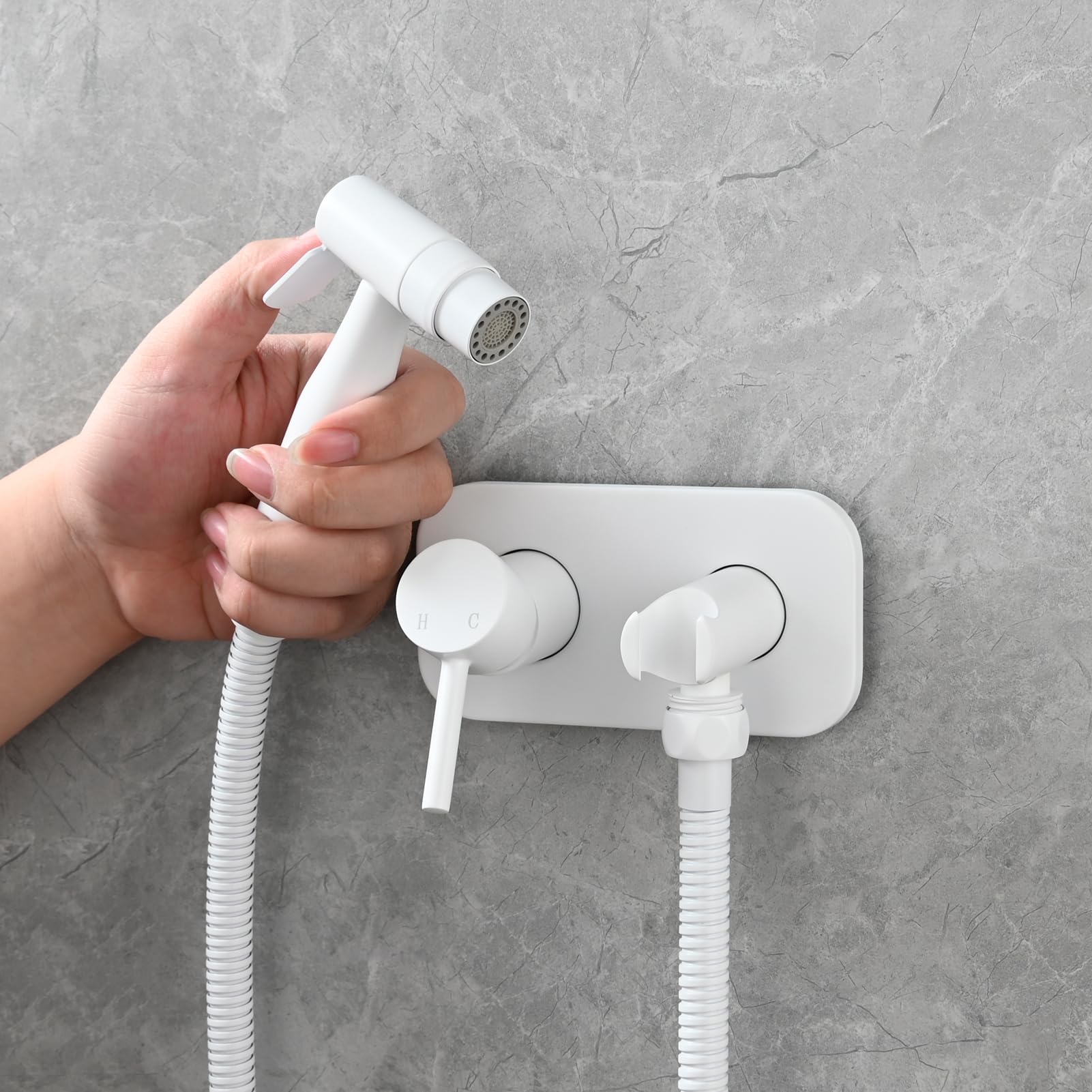 Tecmolog 2 Strahlarten Bidet Handbrause Set Edelstahl Einhebel Bidet Armaturen Kaltes Wasser für WC, Weiß, WS024AWF1
