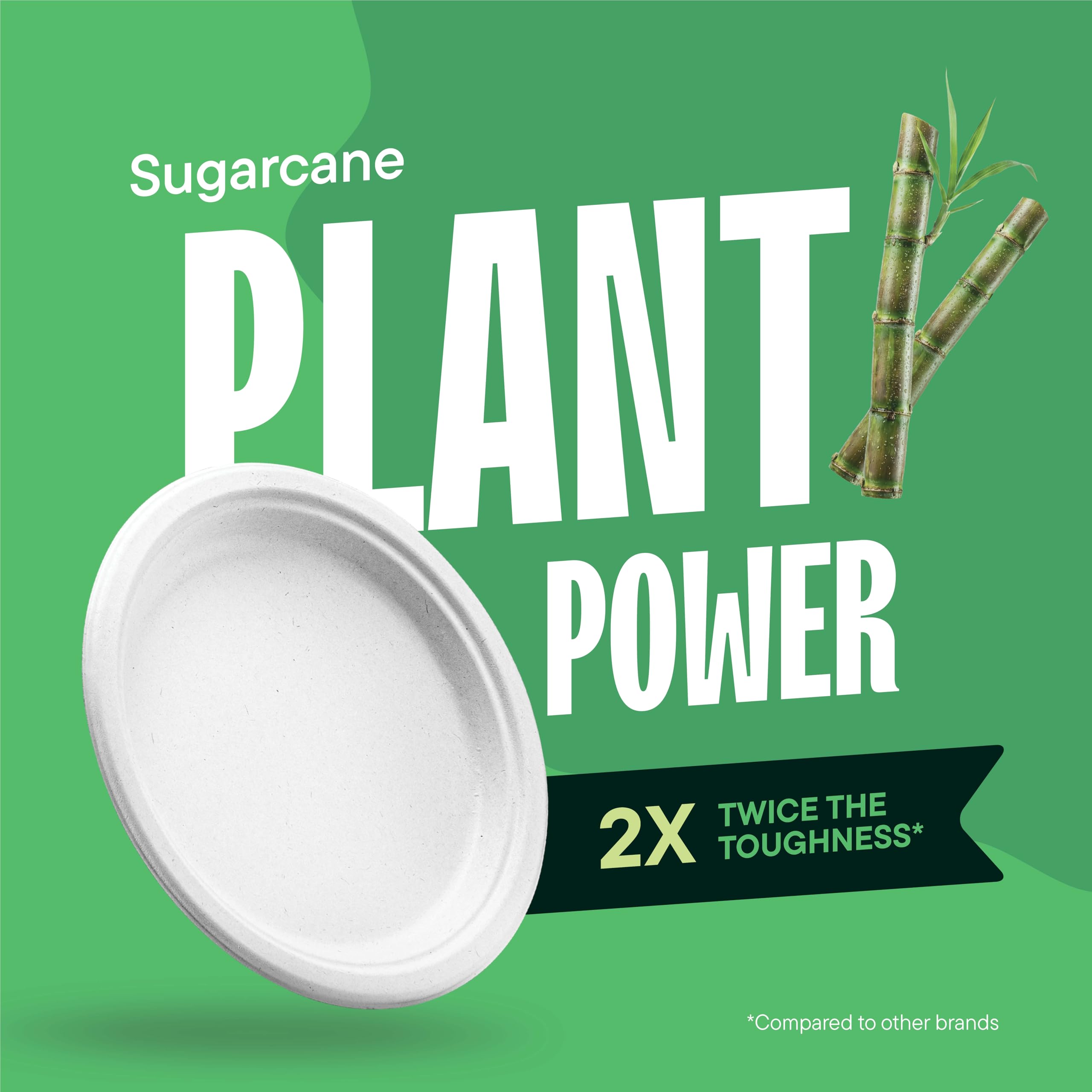 Compostable Paper Plates - 125 Pack -4