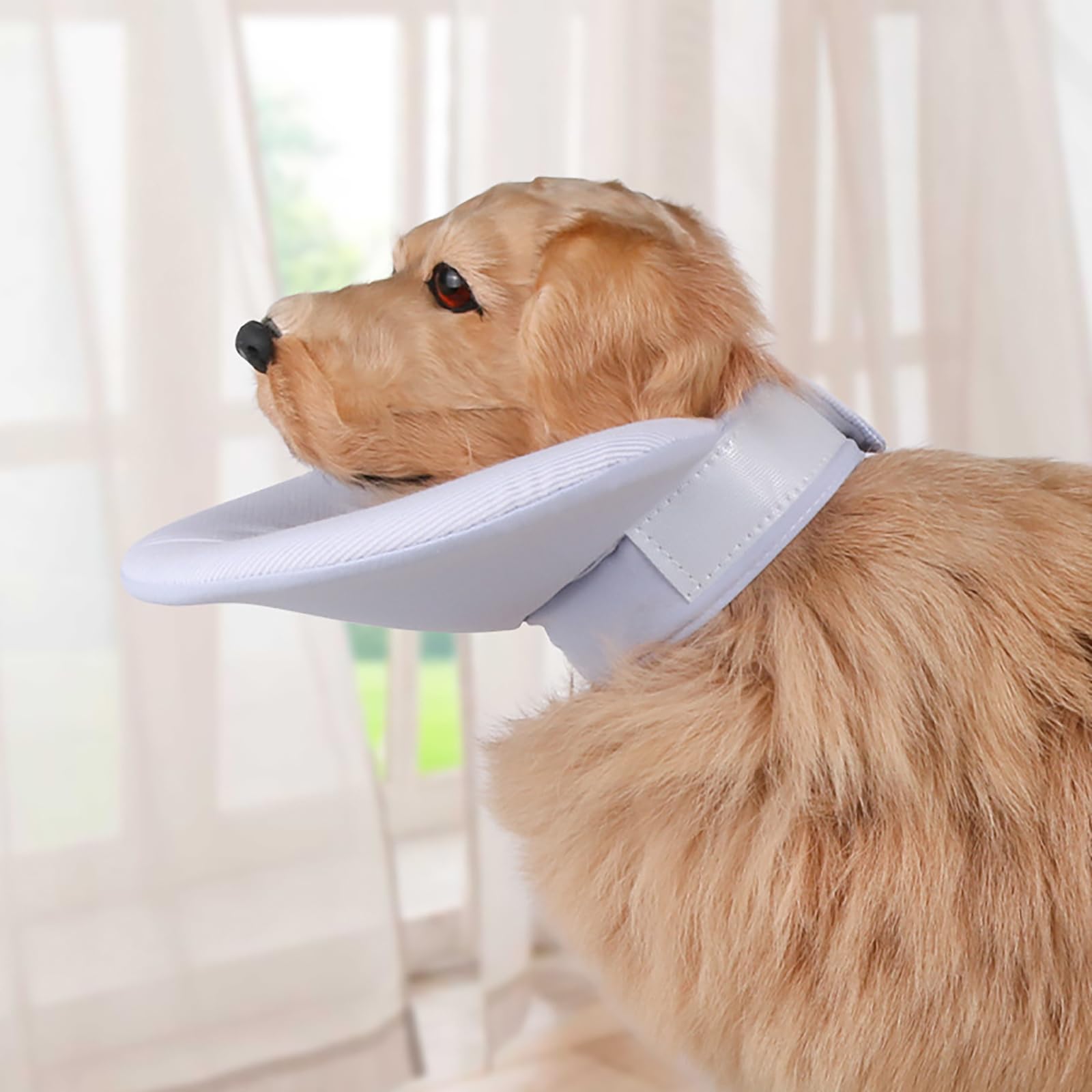 Amazon | 頭の上半分がないハーフタイプのエリザベスカラーです 犬用