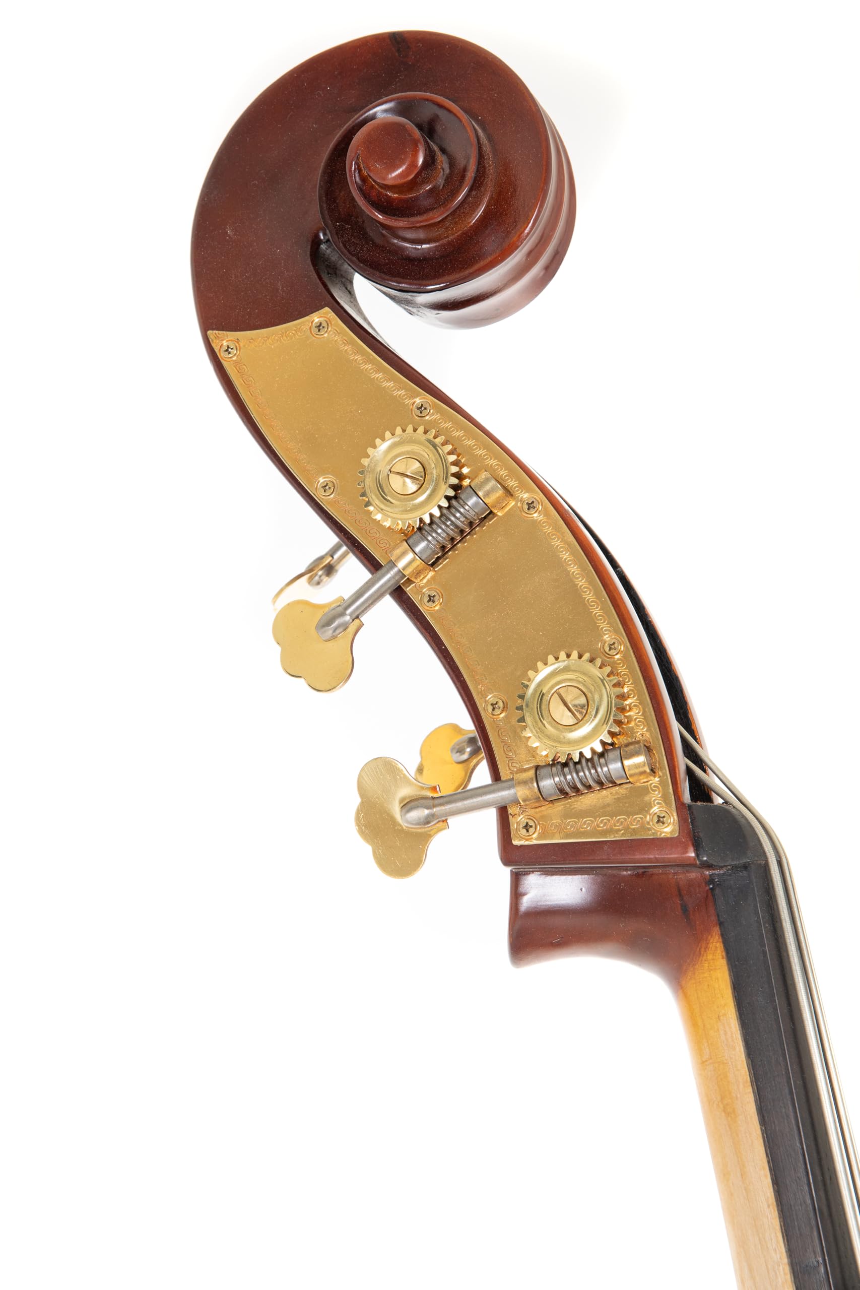 Contrabbasso GEWA - Basic Line 1/8 - Semisolido - tavola in abete massiccio - fondo/fasce in acero laminato - forma a viola - marrone dorato - pronto per suonare