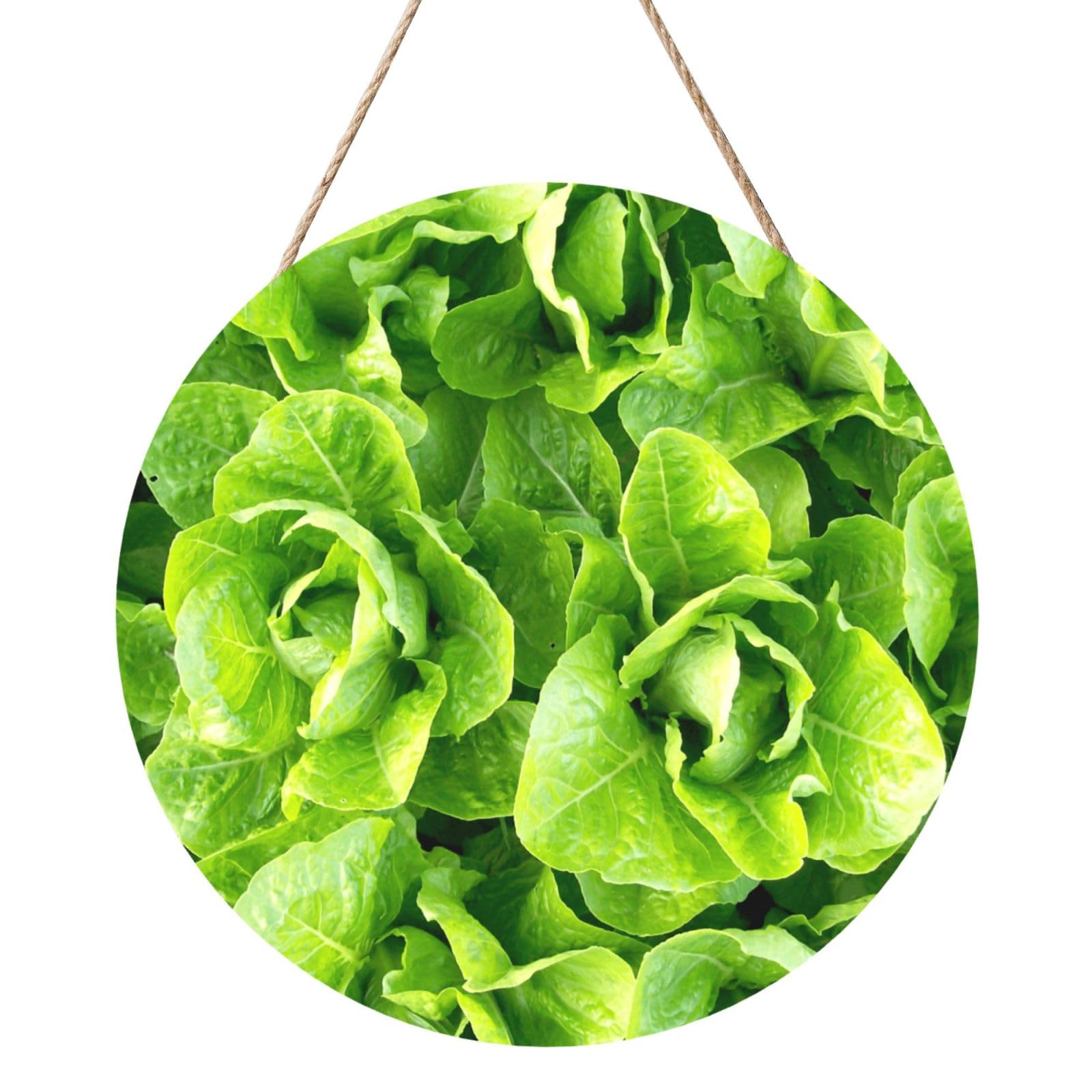 InOmak Fresh Romaine Lettuce, Round Wood Panel Painting 12 in, Wall Hanging Painting For Home