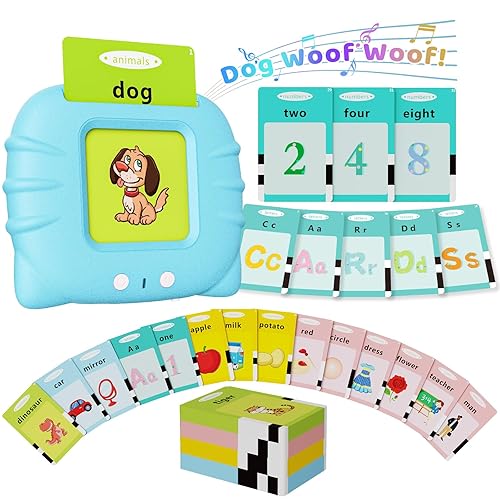 Aullsaty Talking Flash Cards for Toddlers 1-3, Upgraded 248 Sight