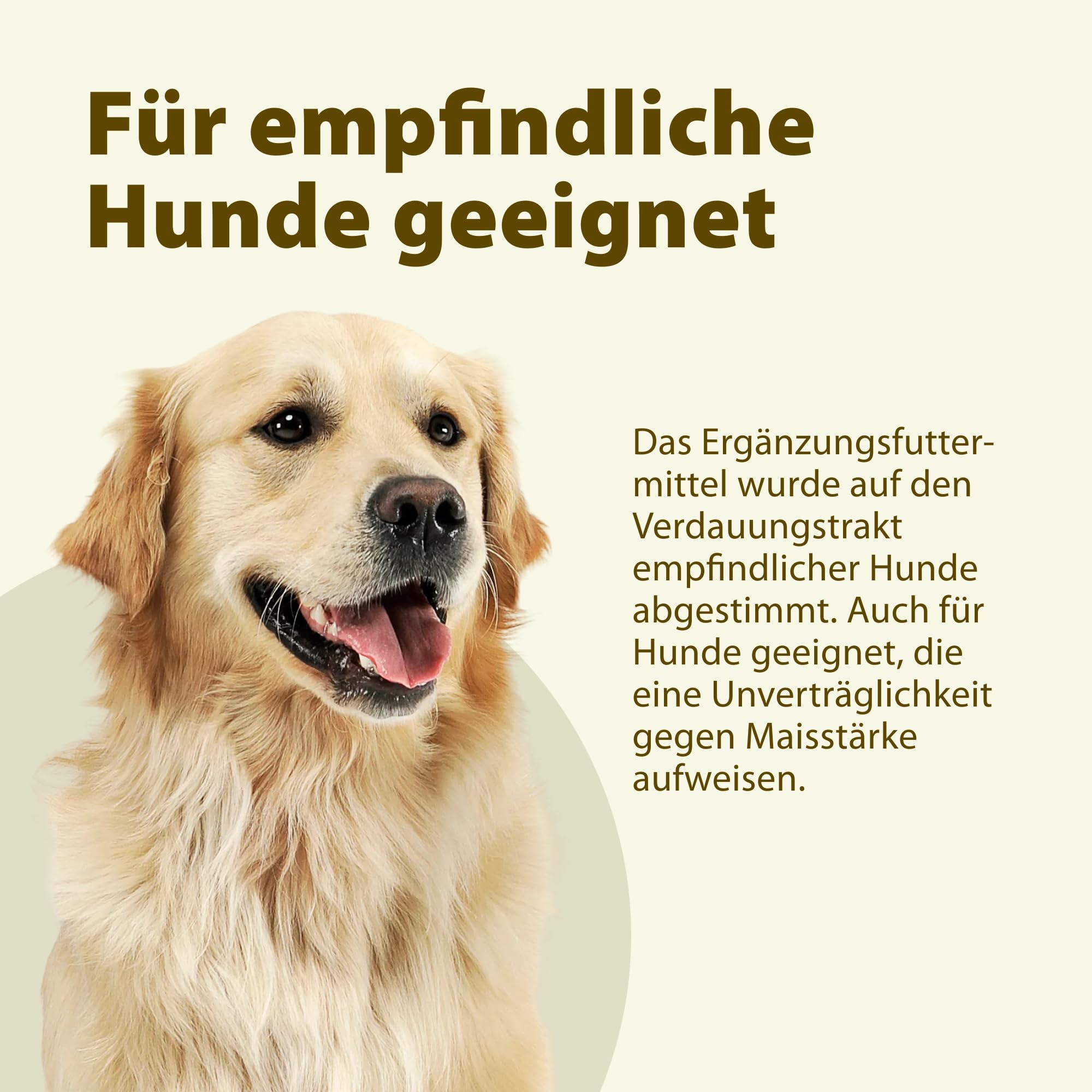 SymbioPet Dog - Probiotika für den Hund - Ergänzungsfuttermittel zur Pflege einer gesunden Darmflora - für Hunde jeden Alters - 175 g Pulver