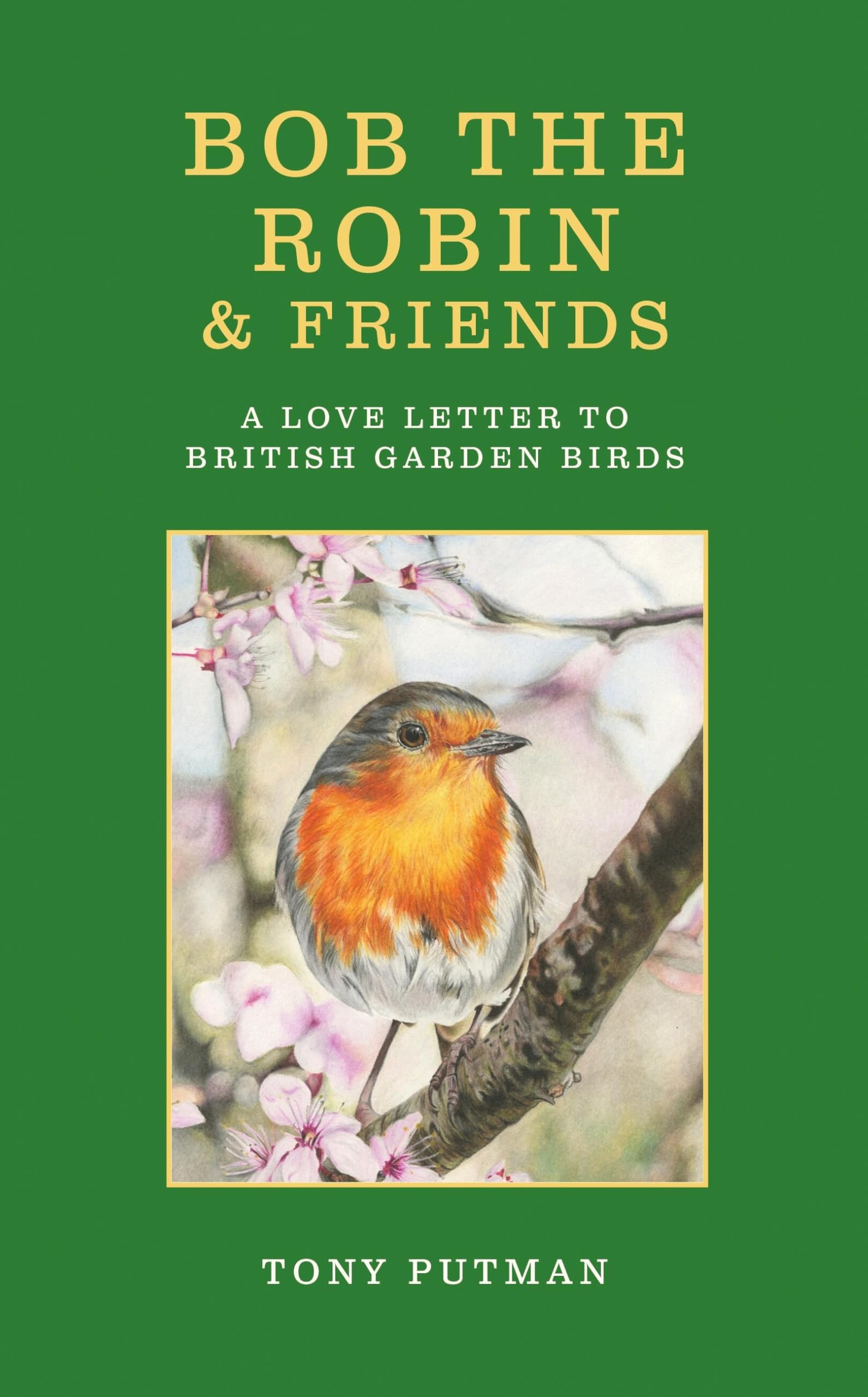 Bob the Robin & Friends: A Love Letter to British Garden Birds (Bob the Robin Series)