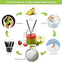Vista 2 de Pajitas biodegradables compostables envueltas individualmente, pajitas negras desechables de ácido poliláctico (PLA) a base de plantas