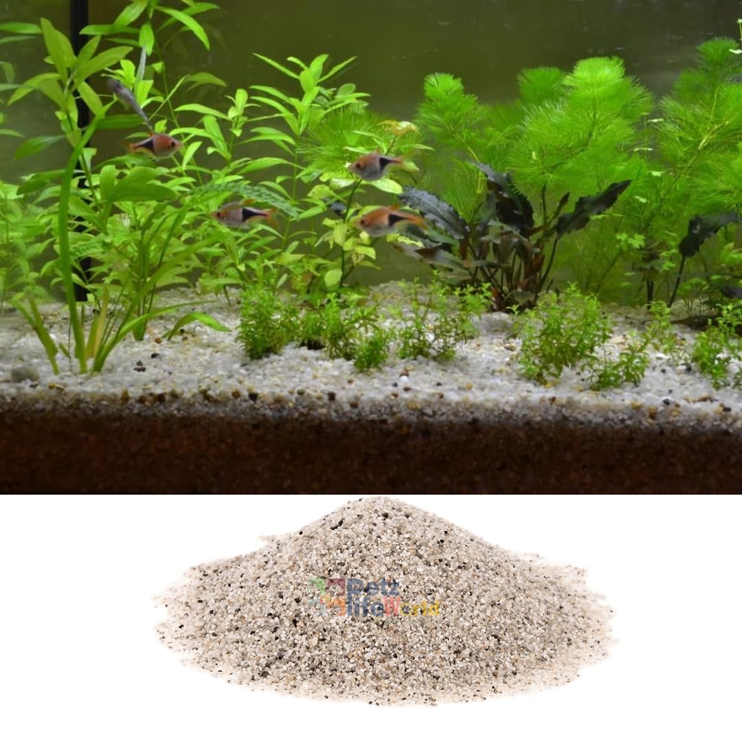 VAYINATO Aquatic Remedies River Natura Imported Natural White Sand For Aquascaping (1 Kg) 4