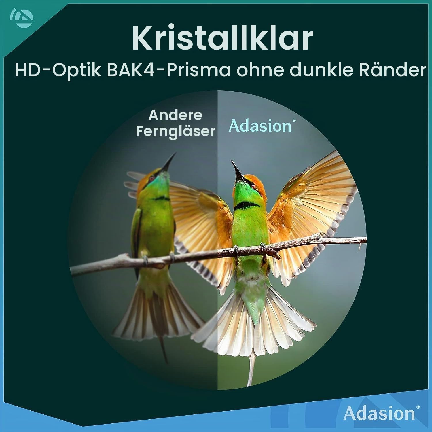 Adasion Fernglas für Erwachsene, Fernglas Klein Wasserdicht 12 x 42 mit Handy Adapter und Stativ, Superhelle Leichte Ferngläser für Vogelbeobachtung Jagd Sport Wandern Kreuzfahrt Reisen Konzert