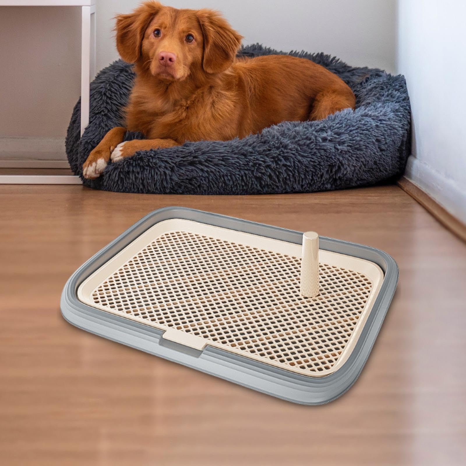 Toilet pour Chien Plateau d'apprentissage Grille à Porte Tapis Réutilisable Confort avec Filet Amovible Adapté Aux Chiots Animaux de Compagnie, Gris