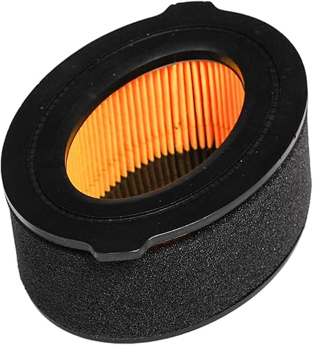 HIFROM Repuesto de filtro de aire de repuesto para Troy Bilt Roto-Tiller 951-10794 751-10794 (paquete de 1)