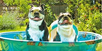 SMILE! 動物のかわいい笑顔の写真集 きっとあなたも笑顔になる！ | MdN