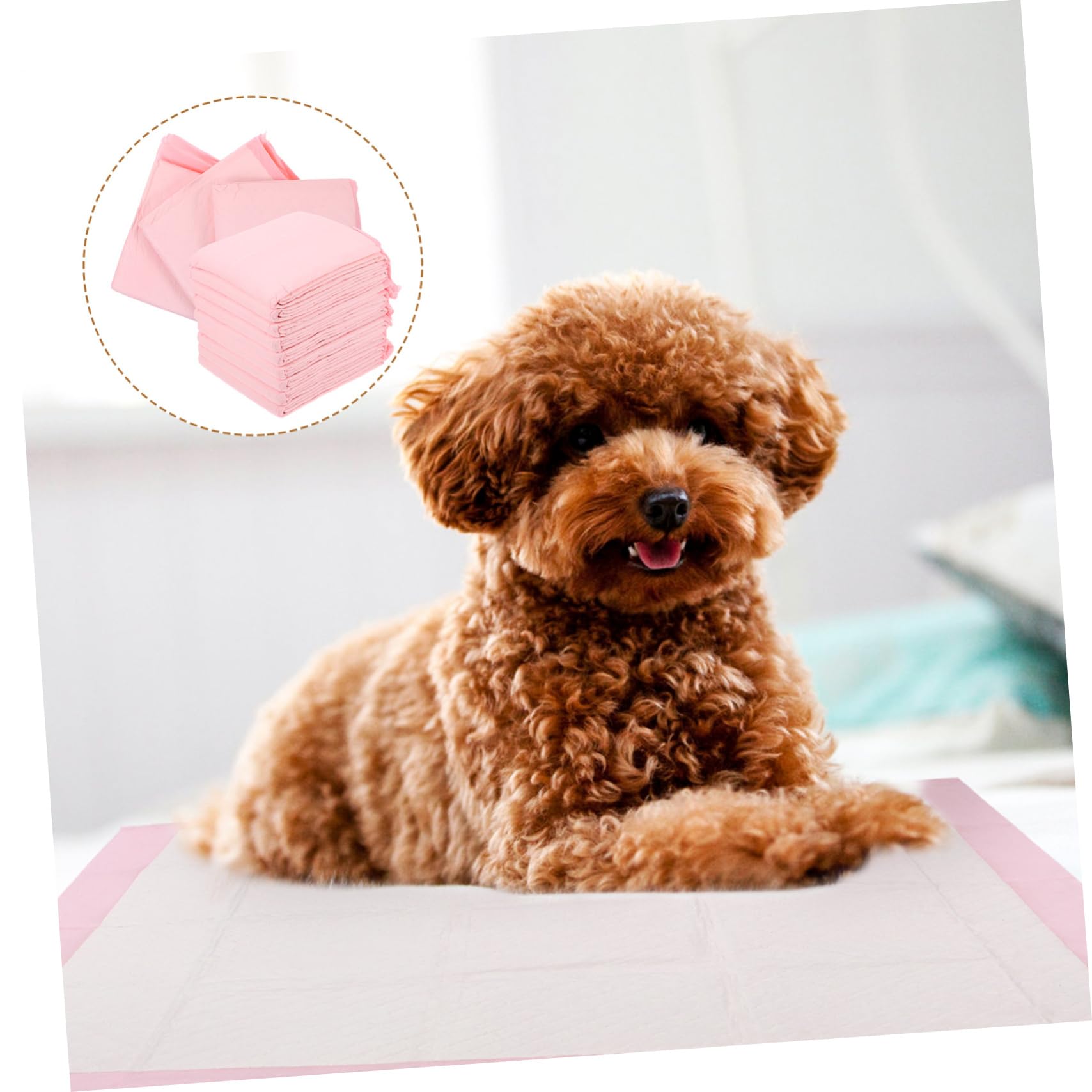 Traversina Assorbente per Cani Rosa, 40 Pezzi, 60x60 Cm | Tessuto Non Tessuto, Uso Indoor e Outdoor, per Cuccioli e Cani Anziani