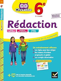 Top Allemand 1re annee 6e lv1 4e lv2 cahier de revision et dentrainement PDF