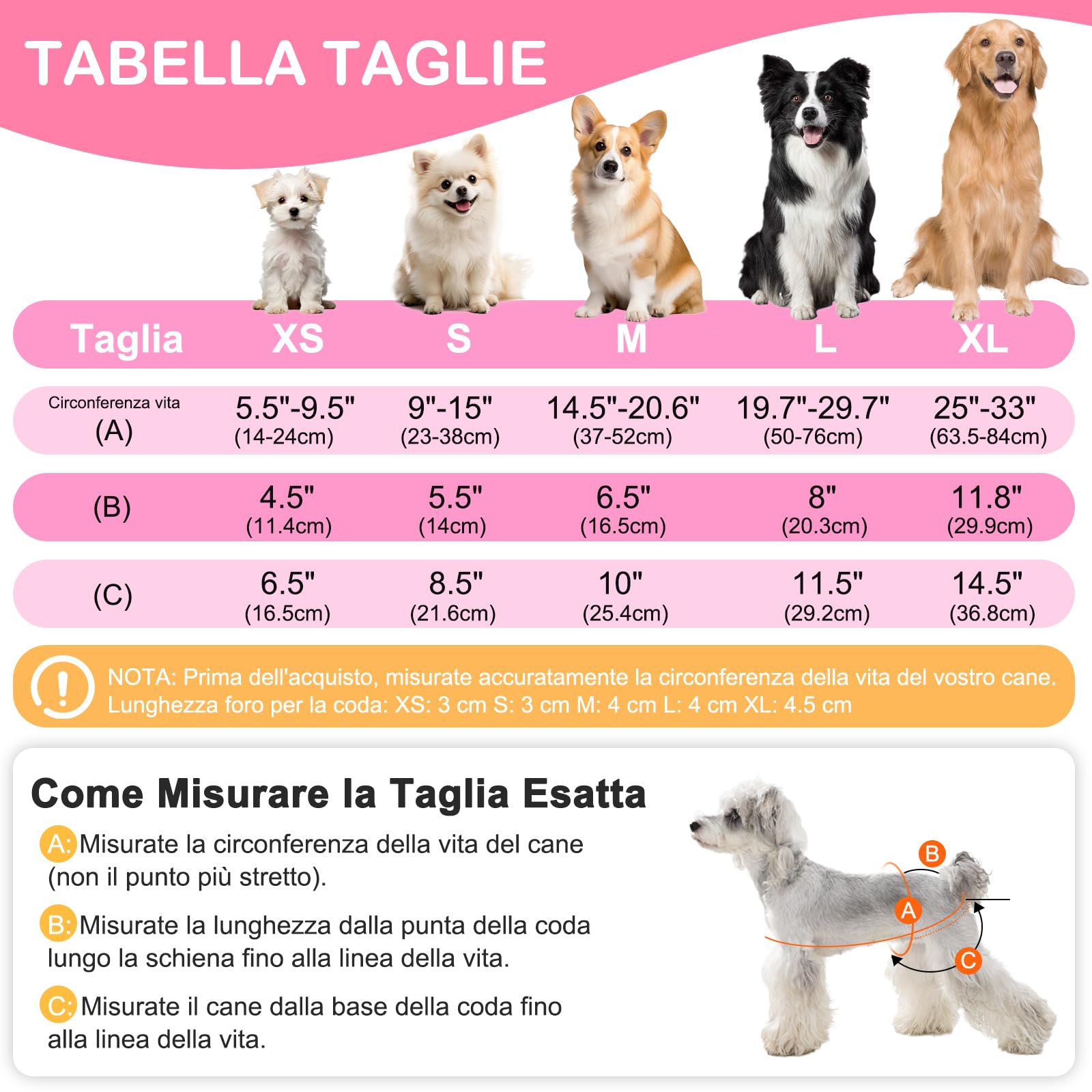 Mutandine Cane Femmina Calore Lavabili S (3 Pezzi), Assorbenti per Cani e Gatti, Pannolini da Ciclo per Femmine Cani