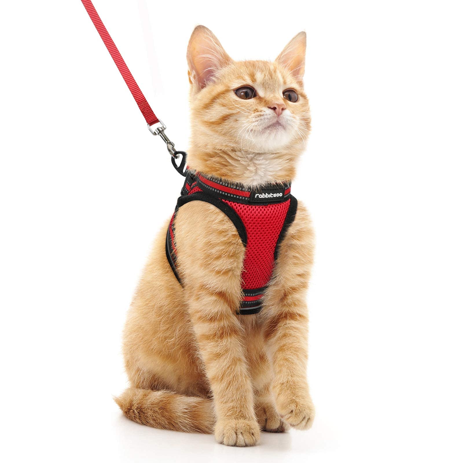 rabbitgoo Cat Harness and Leash Set for Walking Escape Proof, Adjustable Soft Kittens Vest with Reflective Strip for Cats, Comfortable Outdoor Vest, Black, Small — view 22