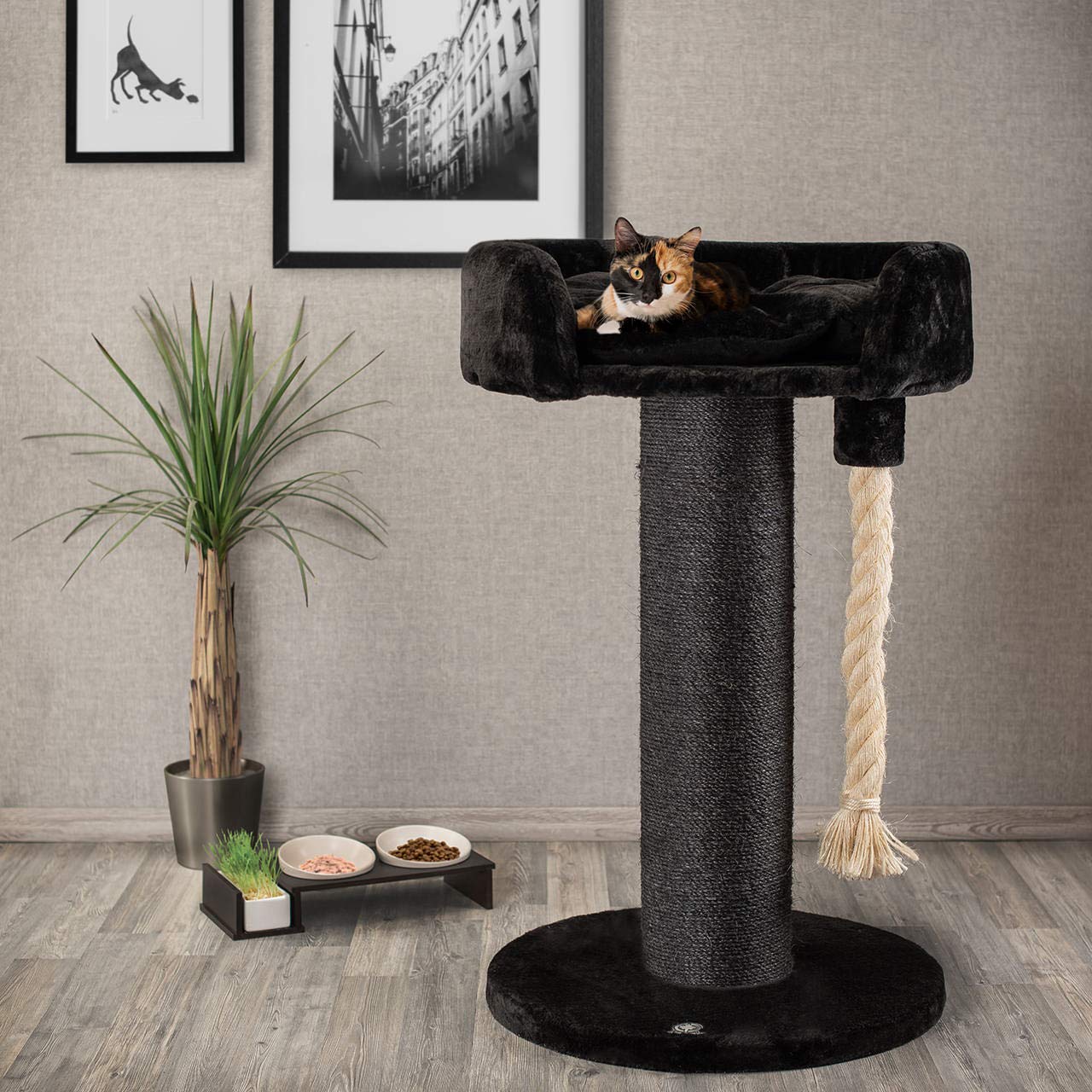 CanadianCat Company | Kratzbaum Ontario - XXL Katzenlounge 100 cm Höhe | anthrazit | Ø 20cm Sisal-Kratzstamm