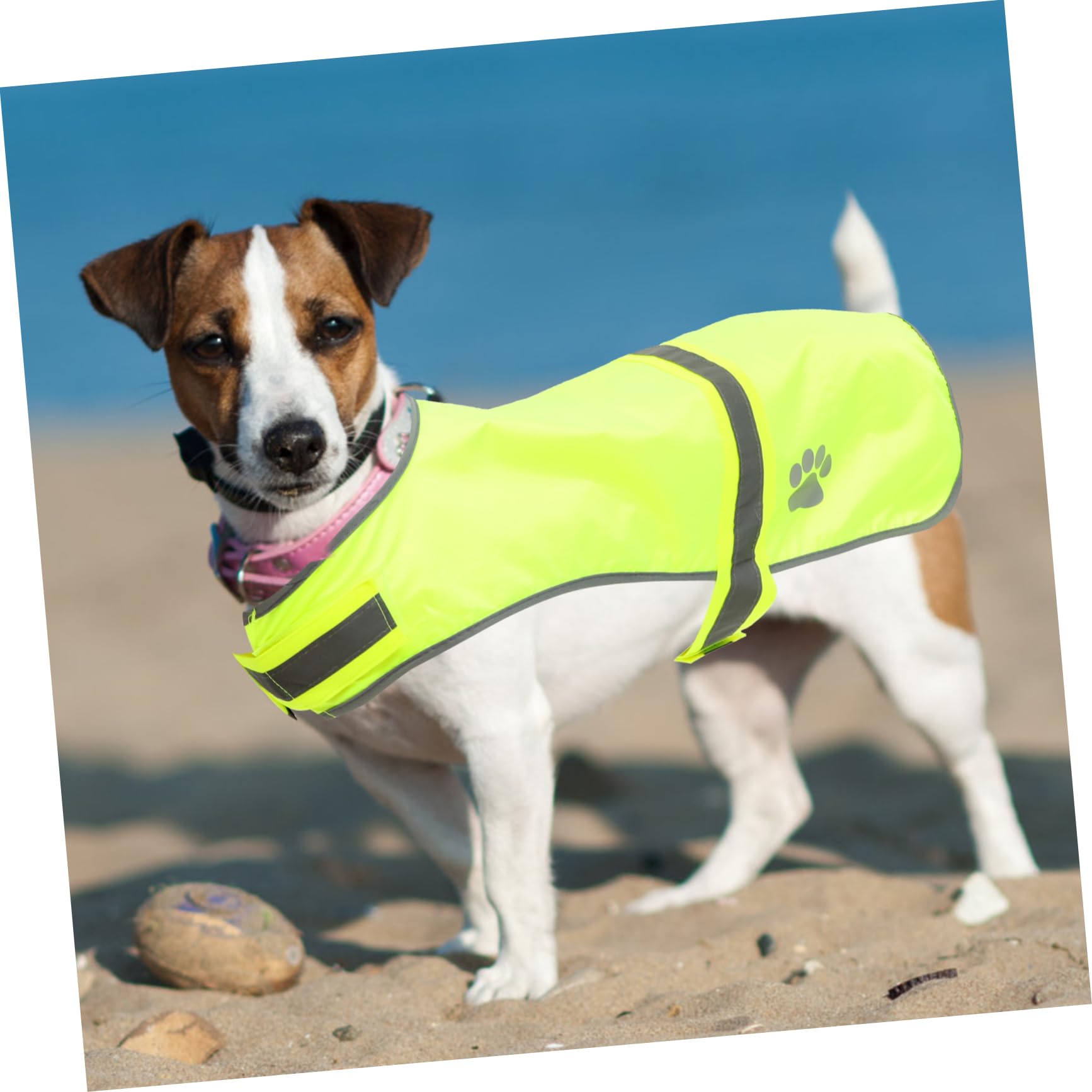 Sosoport 3stücke Reflective Pet Vest Für Hunde Verstellbar Fluoreszierendes Design Für Outdoor-aktivitäten Für Wanderungen Partys Und Fotoshootings